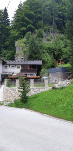 Гостиница Apartment Tarman  Есенице